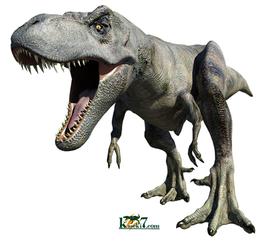 ２０２０年のはじめ、長年語られてきたあのホットなトピックがついに終結を迎えました。