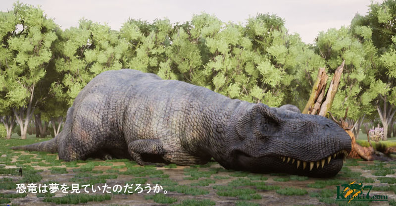 ヒトはなぜ夢を見るのか?