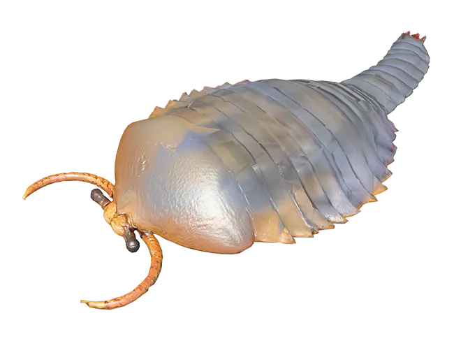 カンブリア紀の海洋生物たちの進化：捕食者から掃除役まで