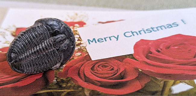 お客様から頂いた写真