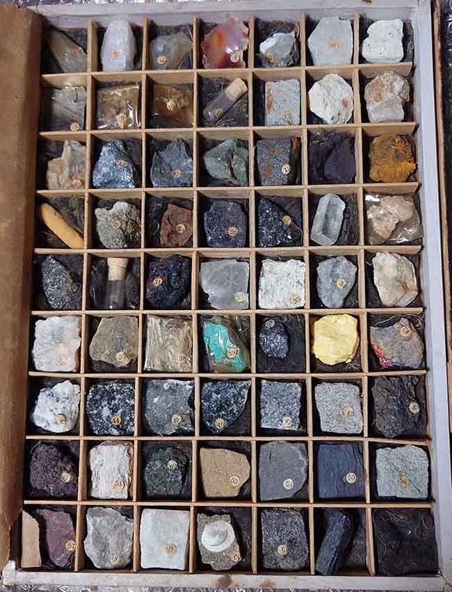 お客様から頂いた写真