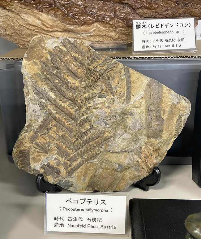 お客様から頂いた写真