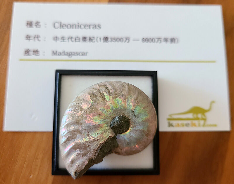 お客様から頂いた写真