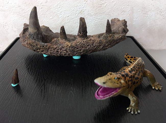 お客様から頂いた写真