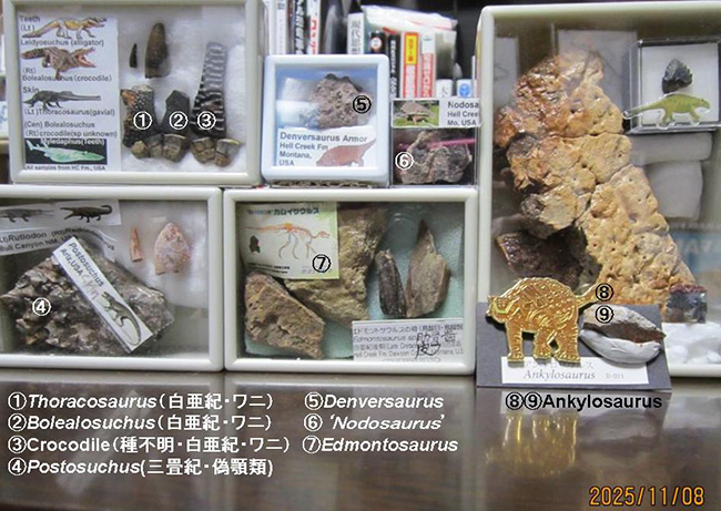 お客様から頂いた写真