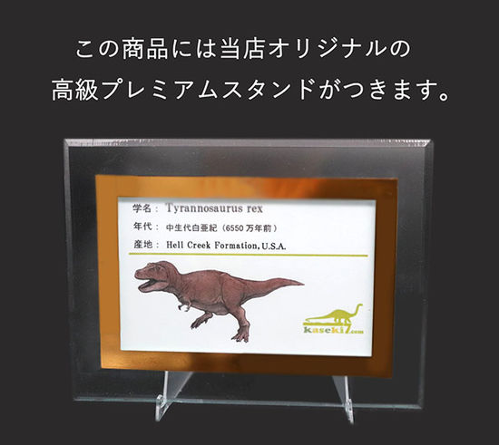 数年に１本、堂々のオールナチュラル、非の打ち所なし