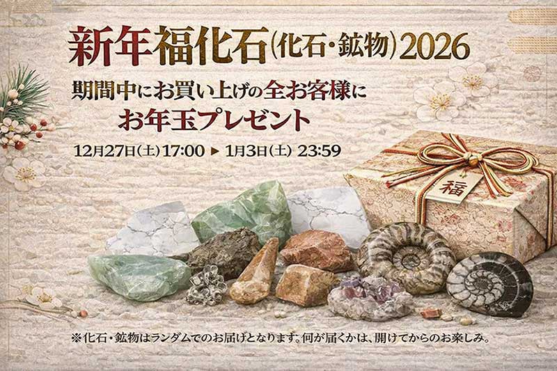 新年福化石2026 お年玉企画
