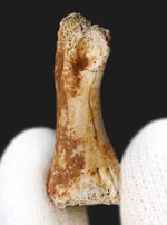 お客様の声　写真