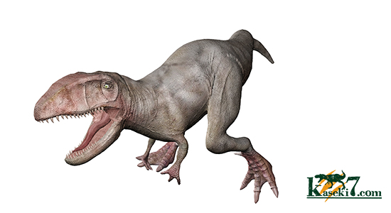 ２割引きで登場！上質の大型カルク歯を入手するチャンス！Ｔ-rex最強説をおびやかした、人気恐竜歯が登場。カルカロドントサウルス(Carcharodontosaurus)