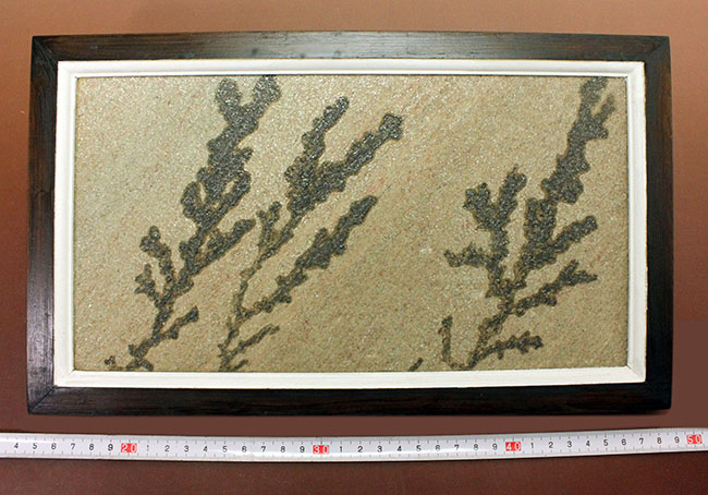 100種類 鉱物 鉱石 天然石 標本 フレーム スタンド インテリア ☆80種類入り☆ 天然石コレクション 天然鉱石 標本 フレーム入り