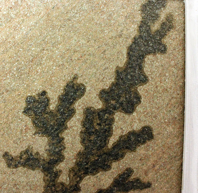 木製フレーム デンドライト まるで絵画！木枠付きのダイナミック標本、鉱物デンドライト（天