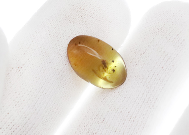 中央に羽虫あり、約1億年前・恐竜時代の記憶を閉じ込めた、ミャンマー産琥珀 バーマイト（Burmite）（その4）