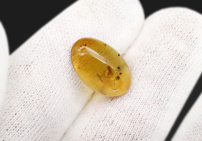 中央に羽虫あり、約1億年前・恐竜時代の記憶を閉じ込めた、ミャンマー産琥珀 バーマイト（Burmite）（その5）