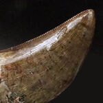 お客様の声　写真