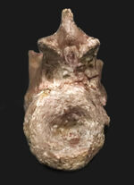 お客様の声　写真