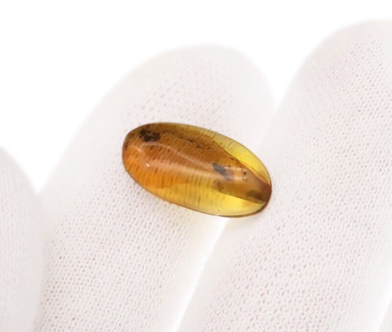 澄み渡るハニーイエローの輝き！透明度の高い美しい個体、虫を内包したバーマイト（Burmite）（その3）