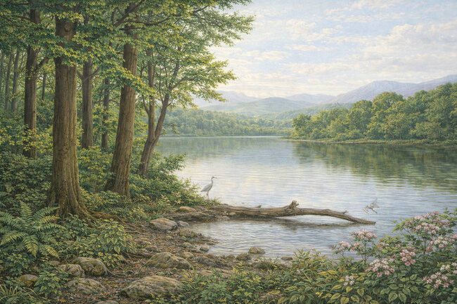 幅広で美しい輪郭をもつ、秋田県湯沢市・中新世の地層から採集された木の葉の化石（その9）