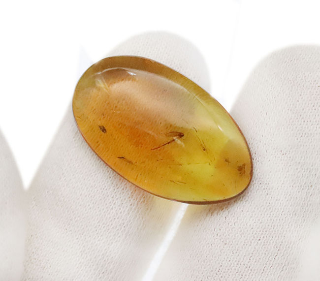 中央に昆虫の肢を内包した、大きく美しいミャンマー琥珀・バーマイト（Burmite）（その6）