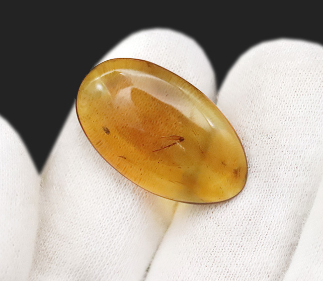 中央に昆虫の肢を内包した、大きく美しいミャンマー琥珀・バーマイト（Burmite）（その7）
