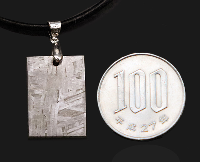 約45億年前に形成された鉄隕石「ムオニオナルスタ