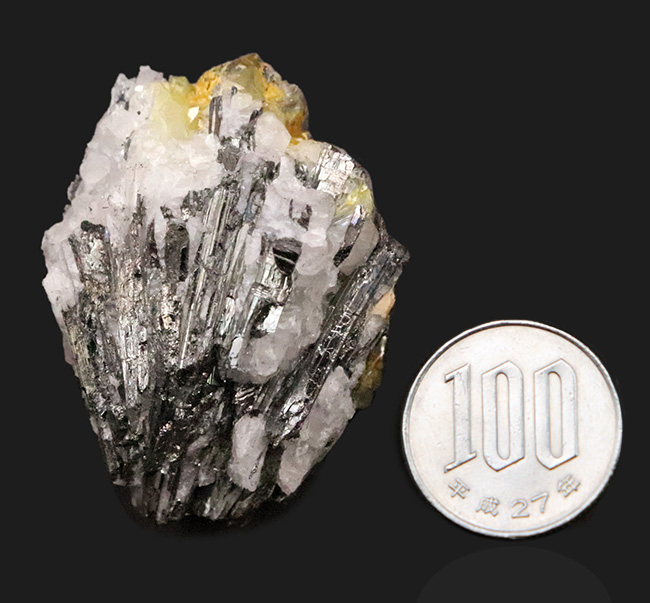 「ICHINOKAWA」愛媛県産市之川鉱山（閉山）産の希少な輝安鉱（Stibnite）（その6）