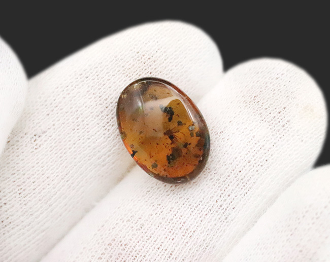 世界最古級の琥珀の一つ……恐竜時代の羽虫を内包した、ミャンマー産バーマイト（Burmite）（その5）