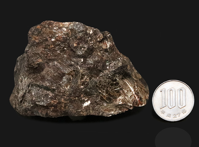 かつて日本の鉄生産を支えた岩手県仙人鉱山産の赤鉄鉱、ヘマタイト（Hematite）。黒色と銀色が混じった印象的な産状（その7）