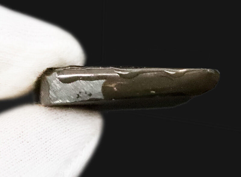 カナダ・アルバータ州が産んだ、鮮やかな赤と緑を呈する美しき化石兼宝石、アンモライト（Ammolite）のピース（その6）