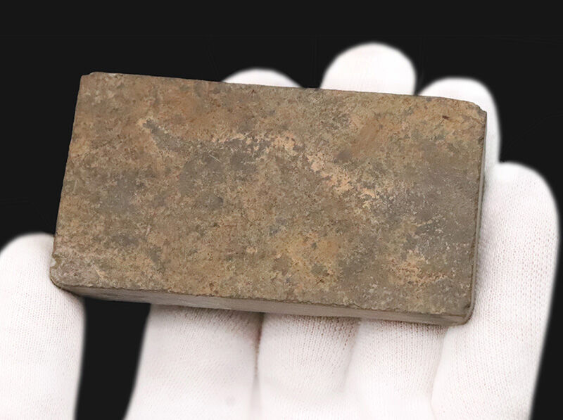 ベリーレア！魚なのに顎がない！？ 約4億3,000万年前の奇妙な古代魚「ビルケニア（Birkenia）」の化石。太古の姿を今に伝える、保存状態の良い希少標本！（その5）
