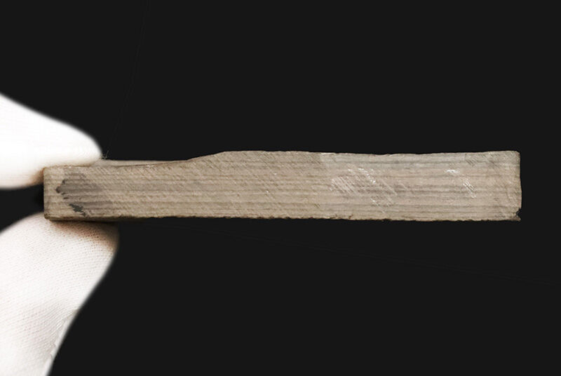 ベリーレア！魚なのに顎がない！？ 約4億3,000万年前の奇妙な古代魚「ビルケニア（Birkenia）」の化石。太古の姿を今に伝える、保存状態の良い希少標本！（その6）