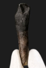 お客様の声　写真