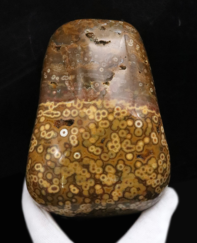 1kg超えの圧倒的存在感、無数の円環模様が見られる、全面ポリッシュ型、オビキュラー（オーシャン）ジャスパー（Orbicular Jasper）（その1）