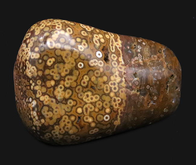 1kg超えの圧倒的存在感、無数の円環模様が見られる、全面ポリッシュ型、オビキュラー（オーシャン）ジャスパー（Orbicular Jasper）（その2）