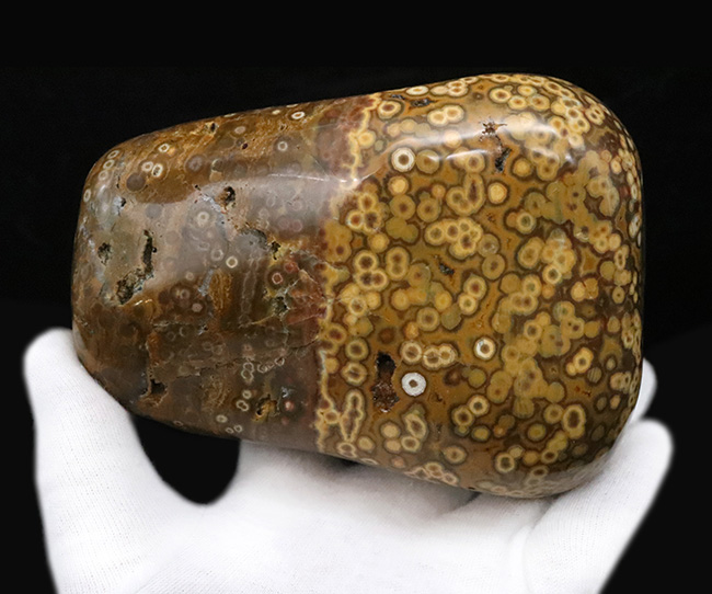 1kg超えの圧倒的存在感、無数の円環模様が見られる、全面ポリッシュ型、オビキュラー（オーシャン）ジャスパー（Orbicular Jasper）（その3）