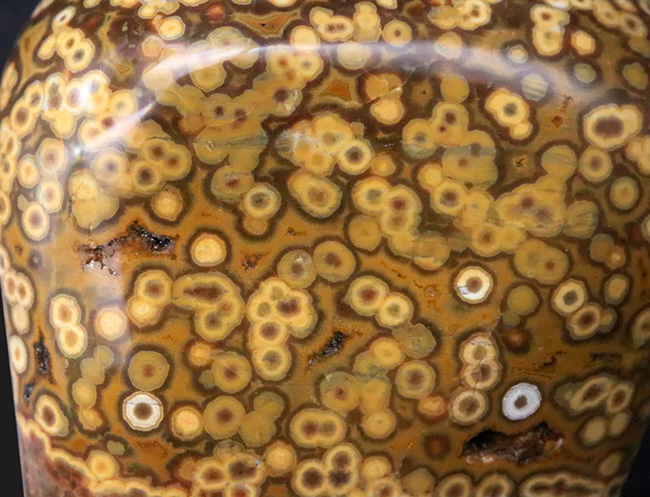 1kg超えの圧倒的存在感、無数の円環模様が見られる、全面ポリッシュ型、オビキュラー（オーシャン）ジャスパー（Orbicular Jasper）（その4）