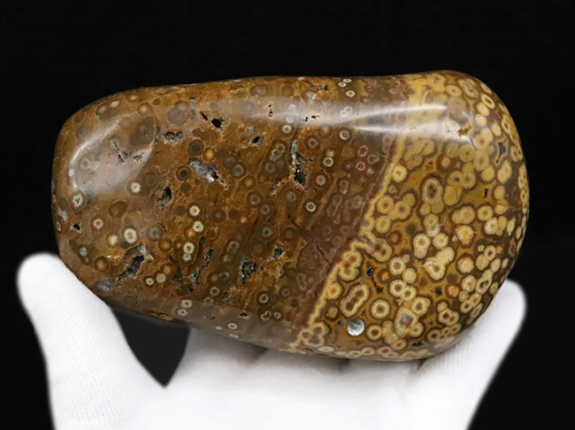 1kg超えの圧倒的存在感、無数の円環模様が見られる、全面ポリッシュ型、オビキュラー（オーシャン）ジャスパー（Orbicular Jasper）（その5）