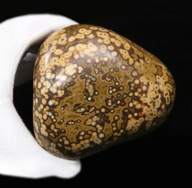 1kg超えの圧倒的存在感、無数の円環模様が見られる、全面ポリッシュ型、オビキュラー（オーシャン）ジャスパー（Orbicular Jasper）（その6）