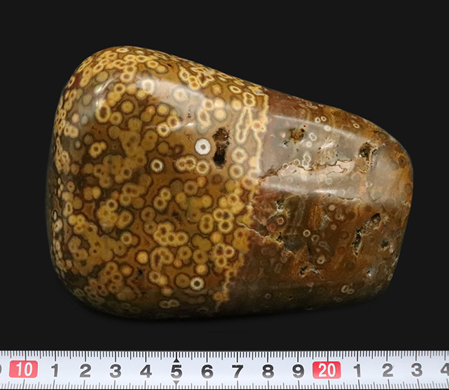 1kg超えの圧倒的存在感、無数の円環模様が見られる、全面ポリッシュ型、オビキュラー（オーシャン）ジャスパー（Orbicular Jasper）（その7）