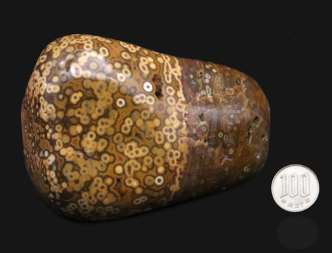 1kg超えの圧倒的存在感、無数の円環模様が見られる、全面ポリッシュ型、オビキュラー（オーシャン）ジャスパー（Orbicular Jasper）（その8）