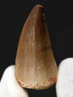 お客様の声　写真