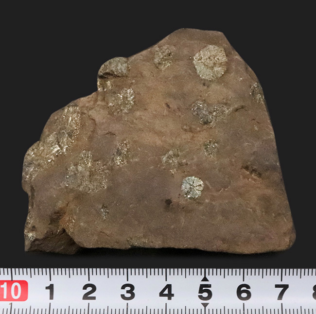 化石セブン初登場｜京都・亀岡市産 桜石 … 稗田野の菫青石（きんせいせき）仮晶（その9）