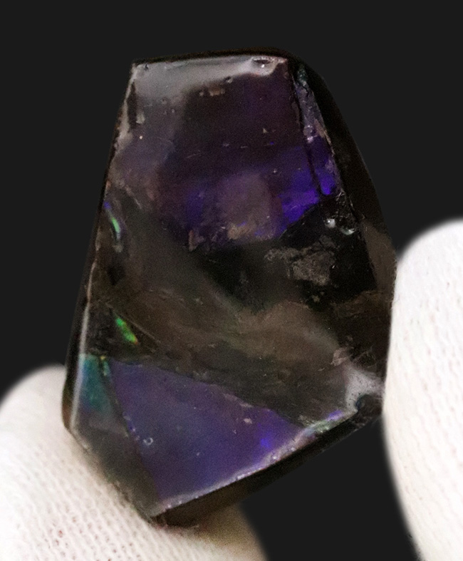 希少なブルー＆バイオレットを呈する、神秘的なアンモライト（Ammolite）のピース（その1）