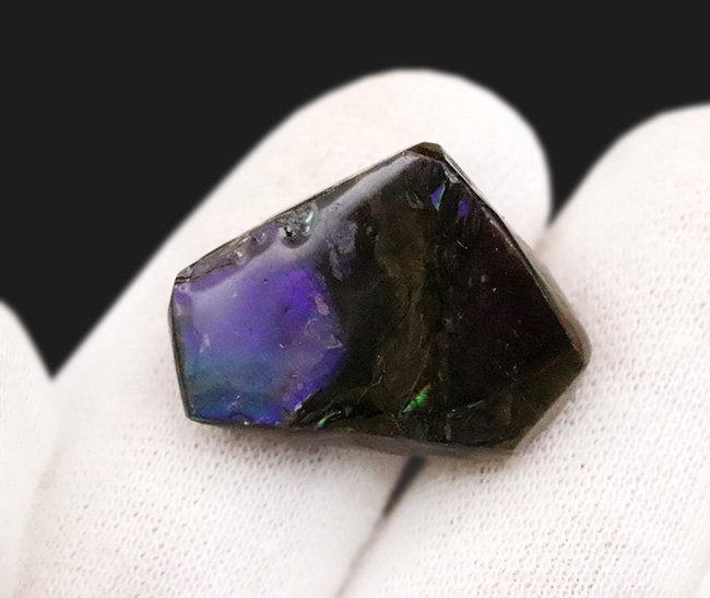 希少なブルー＆バイオレットを呈する、神秘的なアンモライト（Ammolite）のピース（その2）