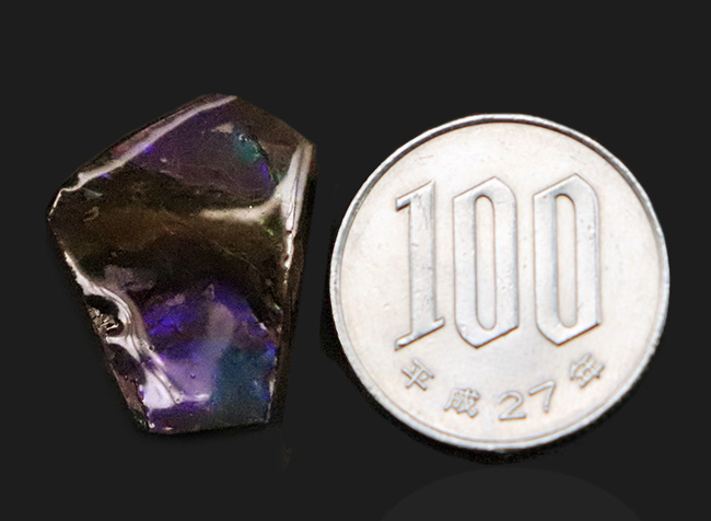 希少なブルー＆バイオレットを呈する、神秘的なアンモライト（Ammolite）のピース（その7）