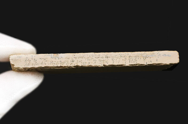 ドイツ・ゾルンホーフェン産……卓上を飾る小さな森。手のひらサイズの高品質デンドライト（Dendrite）（その6）
