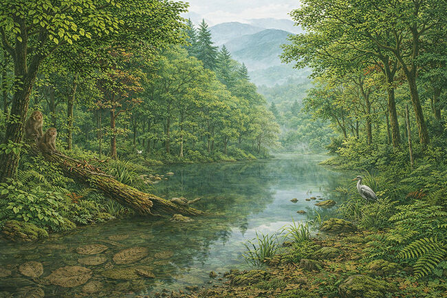 卵型の葉形が精緻に保存された、岩手県雫石町・用ノ沢の中新世層から産出した広葉樹の木の葉の化石（その10）