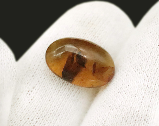 美しいオーバル型、恐竜時代の琥珀、虫が一匹内包されたミャンマー産のバーマイト（Burmite）（その6）