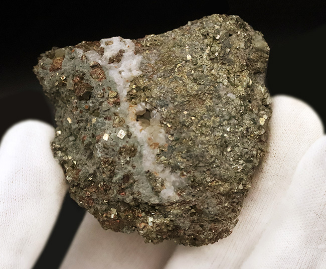 原石ならではの力強い表情…美しく輝く黄鉄鉱と太い石英脈が共存する、秋田県花岡鉱山産パイライト自然標本（その3）