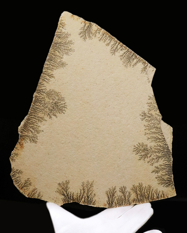 サービスプライス！世界的な名産地、ドイツ・ゾルンホーフェンが生み出した、深遠なナチュラルアートデンドライト（Dendrite）の大判標本（その1）