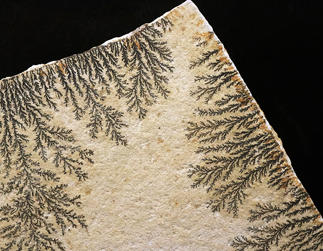 サービスプライス！世界的な名産地、ドイツ・ゾルンホーフェンが生み出した、深遠なナチュラルアートデンドライト（Dendrite）の大判標本（その2）